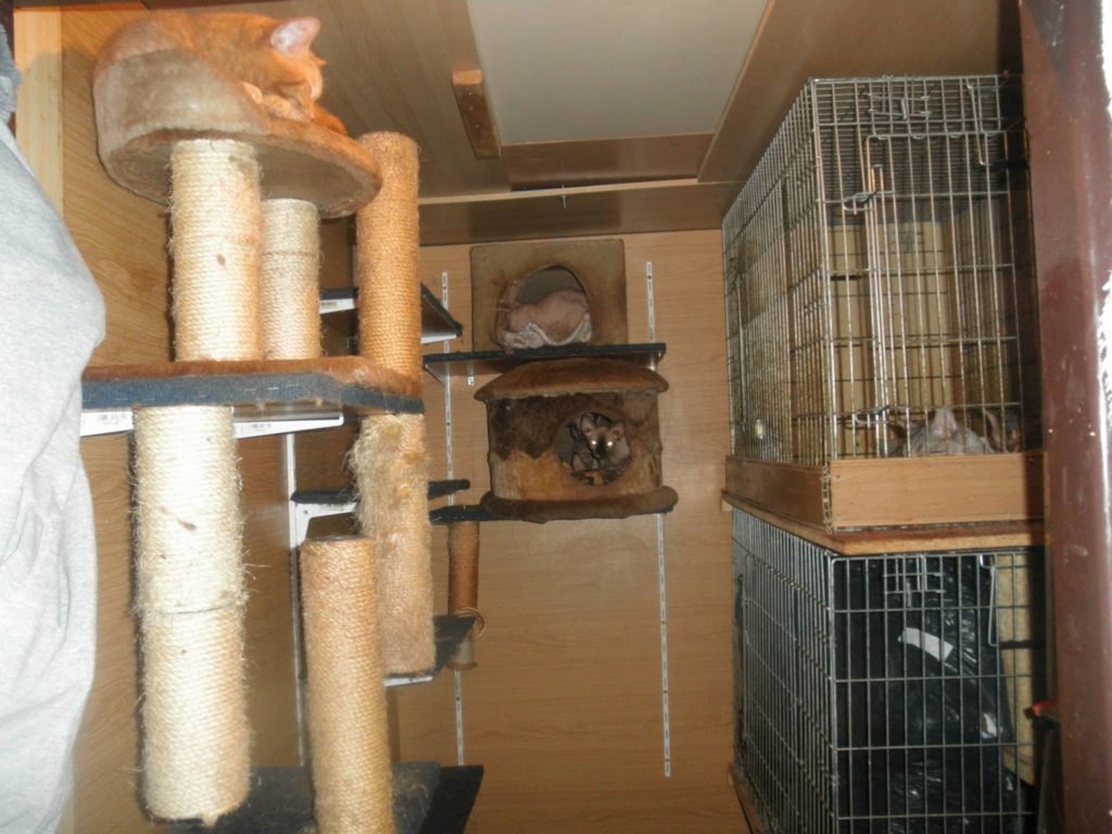 Fotografie z bytu Ministrové, kauza Kočičí peklo