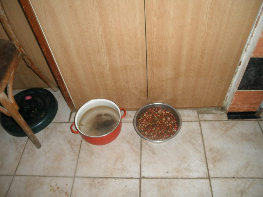 Fotografie z bytu Ministrové, kauza Kočičí peklo