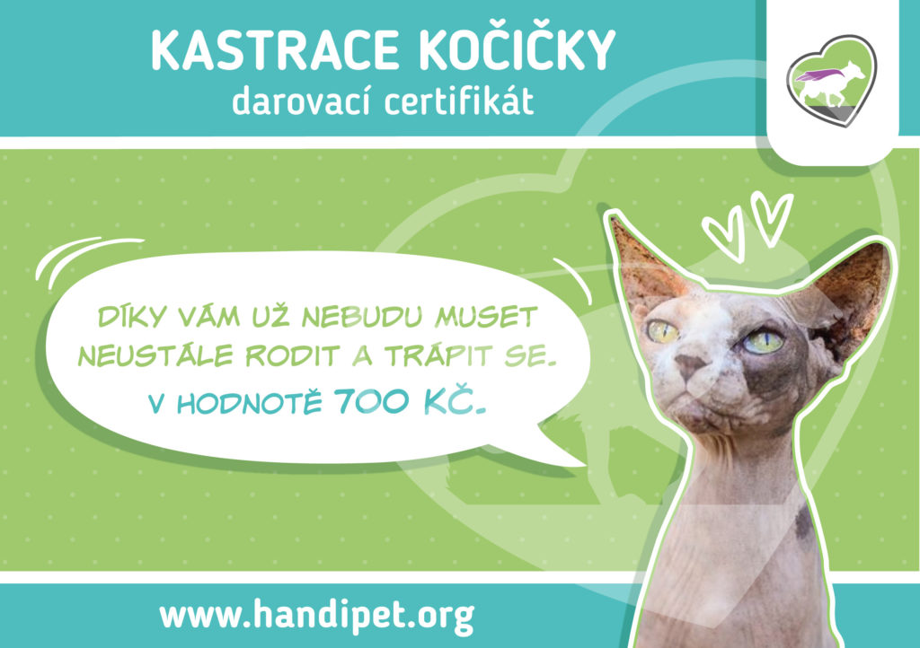 Certifikáty na pomoc kočičkám v nouzi