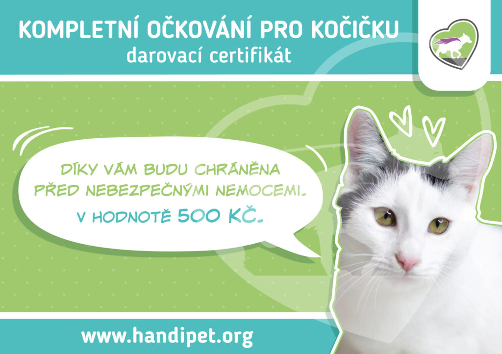 Certifikáty na pomoc kočičkám v nouzi