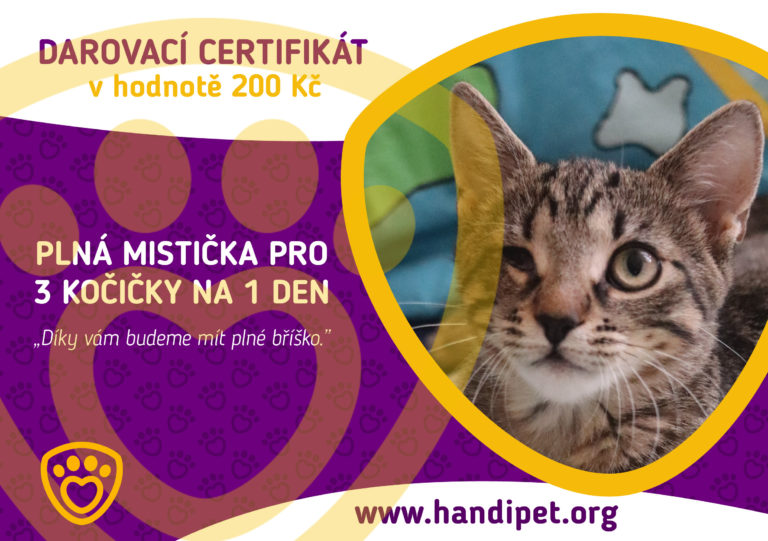 Darovací certifikát: plná mistička pro 3 kočičky na 1 den za 200 Kč