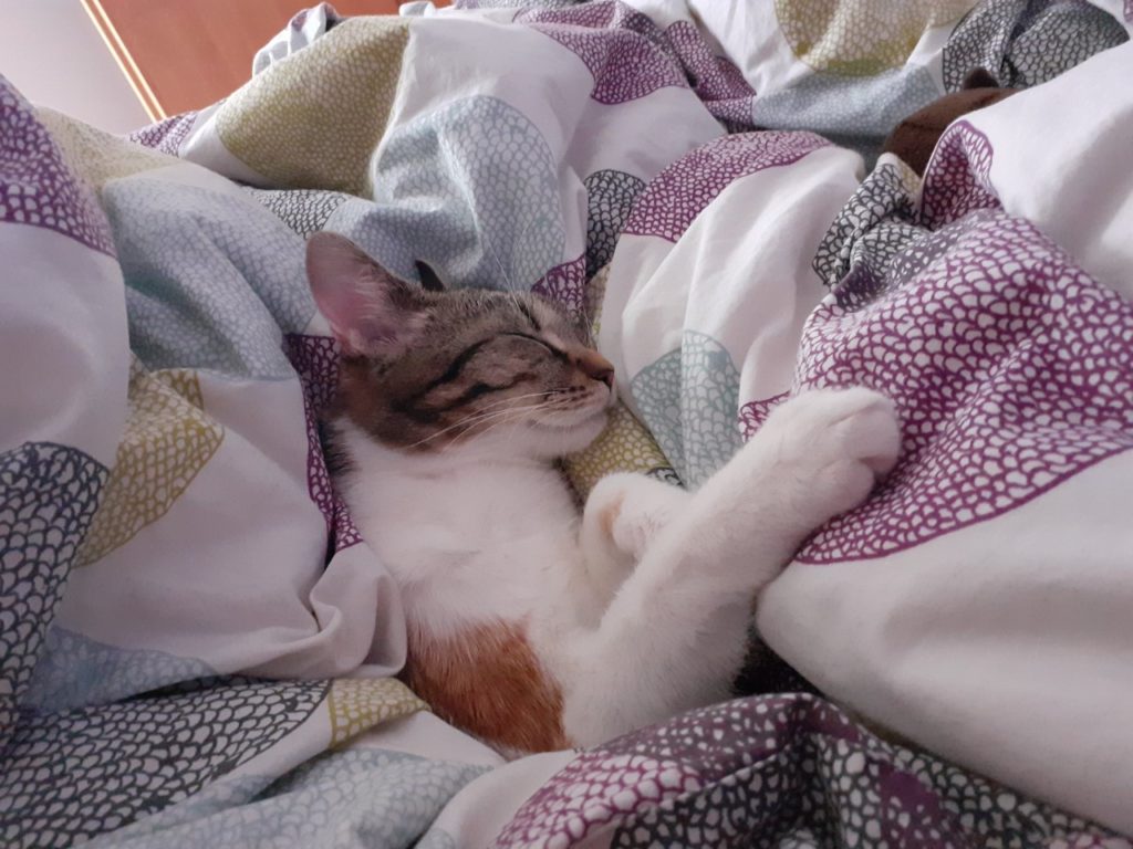 Leontýnka v novém domově