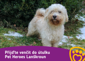 Přijďte venčit do útulku Pet Heroes Lanškroun