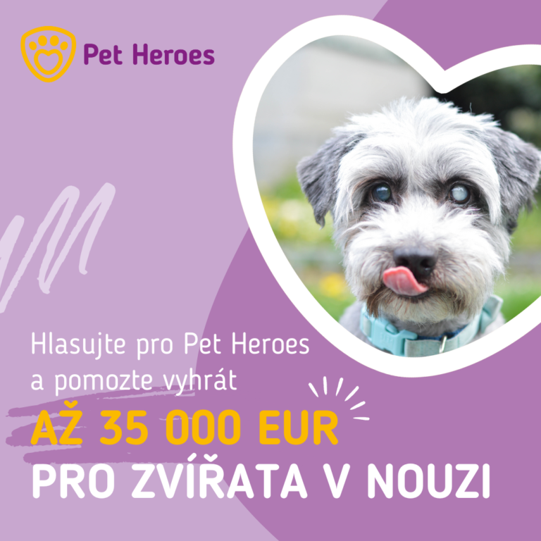 Hlasujte pro Pet Heroes a pomozte vyhrát až 35 000 EUR pro zvířata v nouzi
