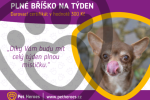 Darovací certifikát: Plné bříško na týden pro pejska