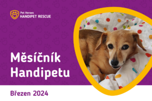 Měsíčník Handipetu březen 2024 s fotkou fenky Dolly