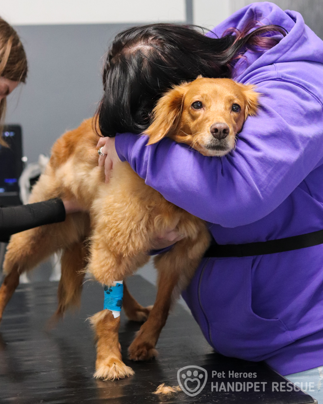 Fenka Malina na veterině