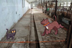 Prostor starého kravína, který rekonstruujeme v centrum pro zvířata v nouzi. Na fotografii je vyznačené možné rozvržení místností v centru. Na fotografii je také ilustrovaný pejsek a kočička.