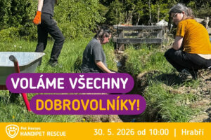 Voláme všechny dobrovolníky! Dobrovolnický den v Hrabří 30. 5. 2026 od 10 hodin
